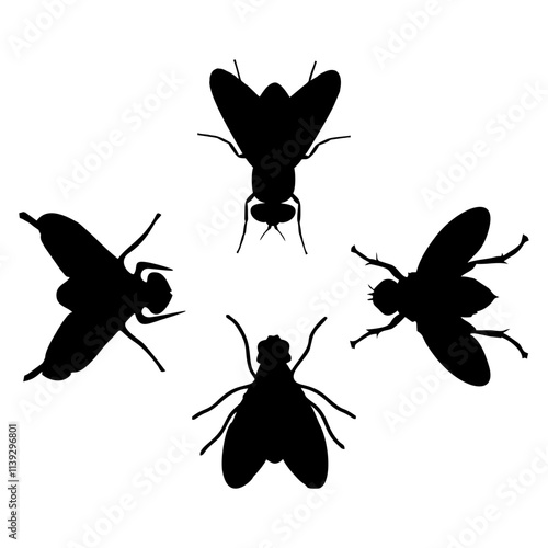 BLACK SILHOUETTE OF A BLACK HOUSEFLY