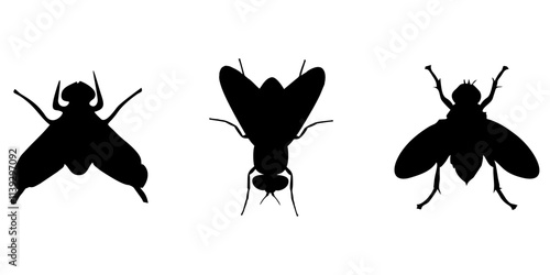 BLACK SILHOUETTE OF A BLACK HOUSEFLY