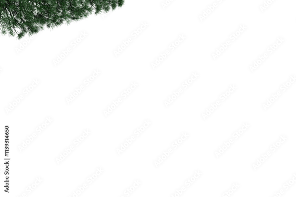 christmas tree frame, PNG, 3D, 2025 christmas tree frame, PNG, 3D, 2025