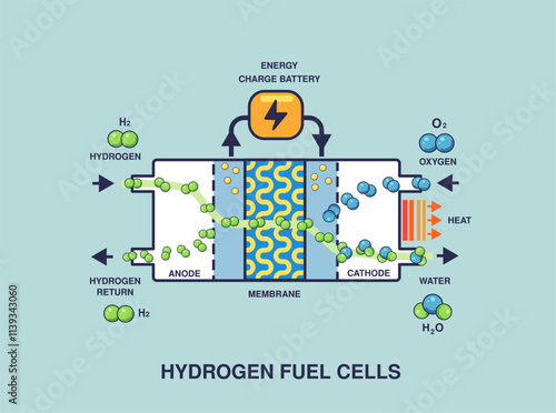 Vector illustration of Hydrogen fuel cells work principle with solid color
