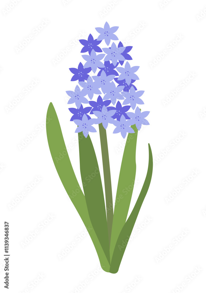 Obraz premium Vector Flat Simple Hyacinthy isolated on white background. Spring flower Hyacinth Element Bloom Flowers. Sticker, Print for Easter Spring Holidays Banners, Posters, Cards, Web. Folk style.