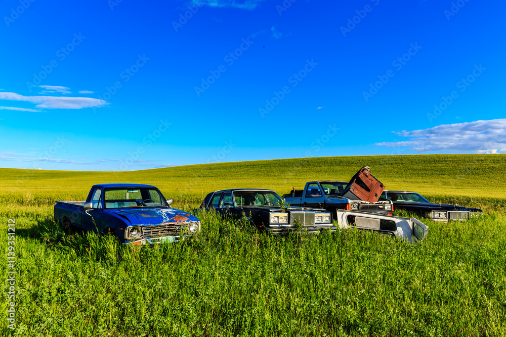 A group of old cars are parked in a field A group of old cars are parked in a field