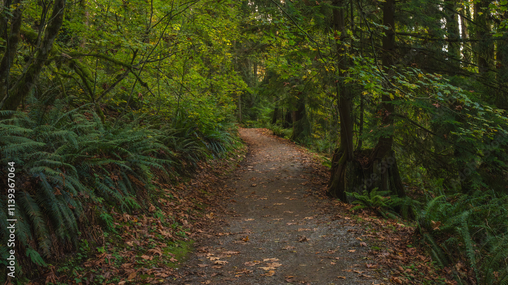 TransCanada Trail at Burnaby Mountain, BC, near Simon Fraser University. TransCanada Trail at Burnaby Mountain, BC, near Simon Fraser University.