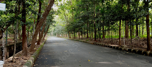 Forest road in the area of ​​the Al-Zaytun Islamic Boarding School, Indonesia photo