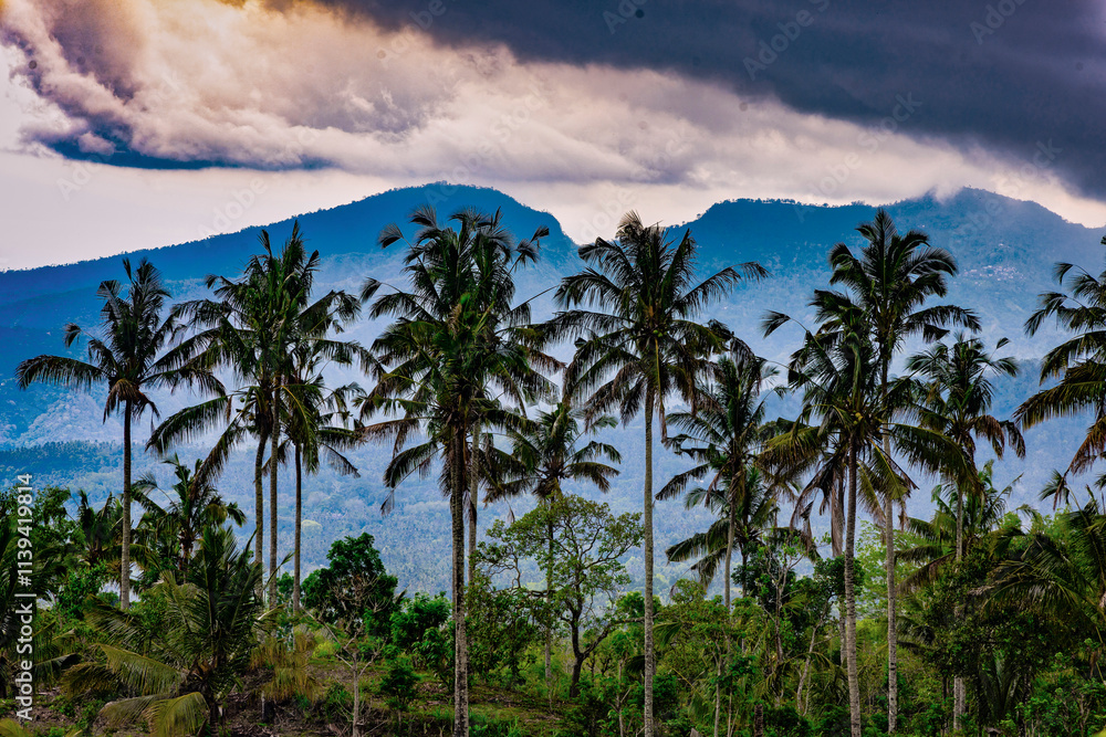 Bali central mountains, Bali, Indonesia Bali central mountains, Bali, Indonesia