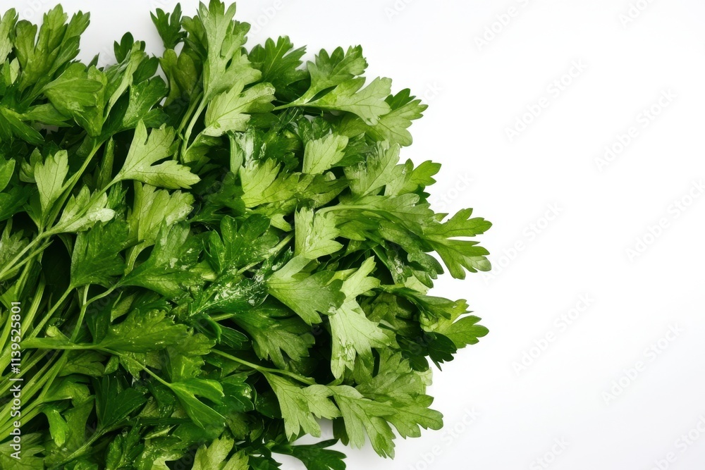 Fresh parsley with vibrant green leaves displayed on a clean white background. Fresh parsley with vibrant green leaves displayed on a clean white background.