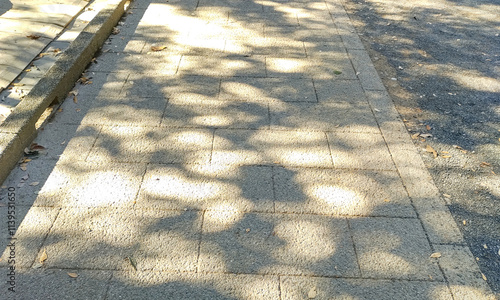 神社の境内の石畳に差し込む木漏れ日の写真素材