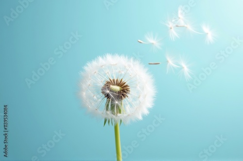 Tiny dandelion seeds float gently through the air, carried by a soft breeze on a tranquil day. The vibrant blue sky enhances the serene atmosphere, showcasing nature\'s delicate wonders