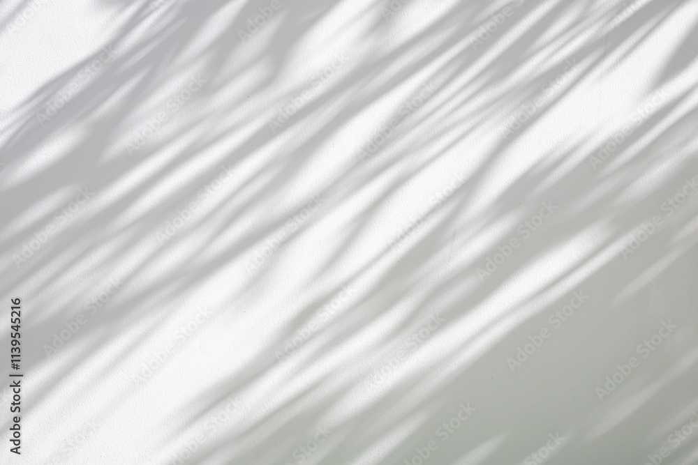 Abstract natural tree leaves shadow on white wall background Abstract natural tree leaves shadow on white wall background