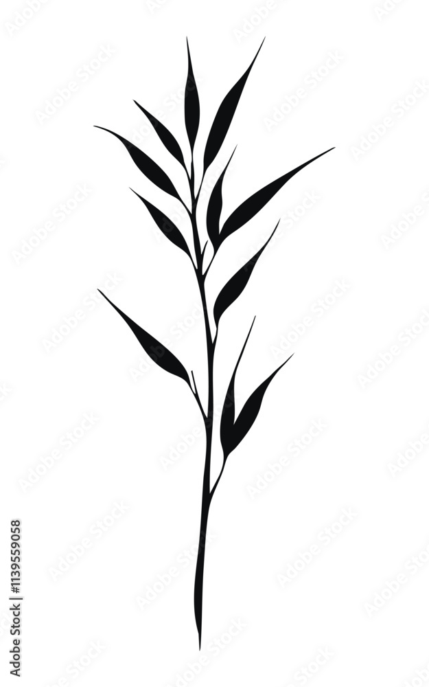 Fototapeta premium Elegant black and white illustration of a single plant with slender leaves. Simple, minimalist design.