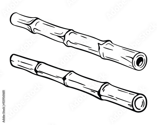 Two segments of bamboo stalks, detailed line drawing.