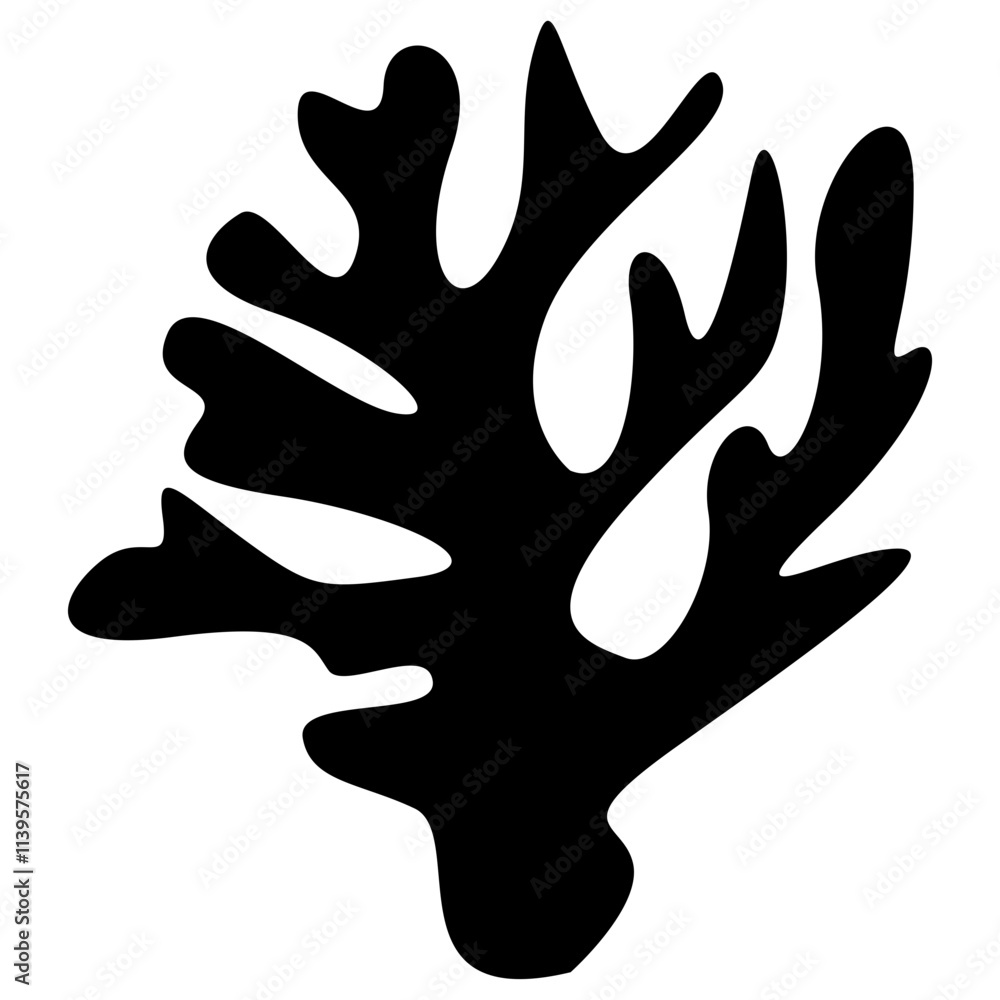 Obraz premium Corals