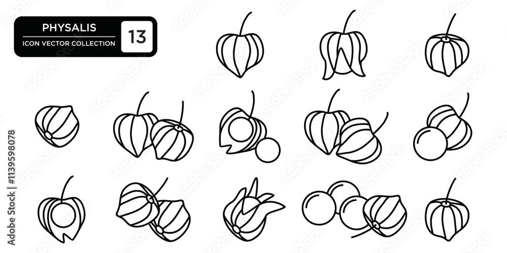 Physalis icon collection, editable and resizable vector icon templates. Physalis icon collection, editable and resizable vector icon templates.