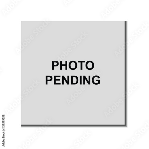Photo pending box on white background. no image available. photo coming soon. photo empty. image space area. photo button. stock photo not available
