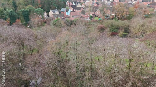 Aerial view of wooded area near Thetford Garden Centre, Norfolk, England photo