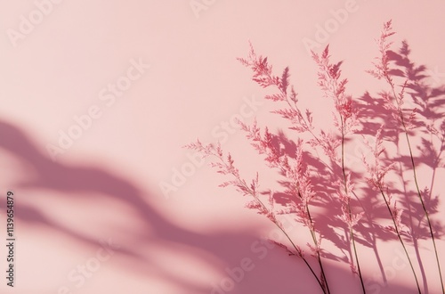 Pink Flowers and Shadows on...