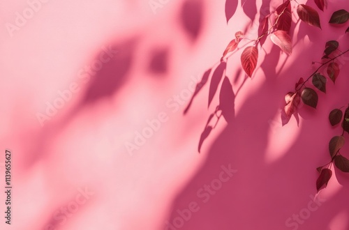 Red leaves and shadows on a...