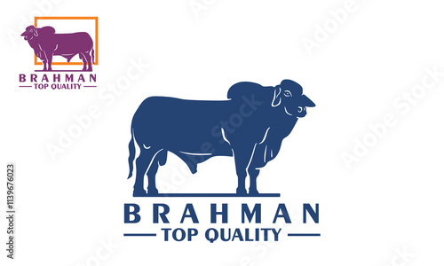 brahman cattle premium quality logo, silhouette of big and healthy cow standing vector illustrations