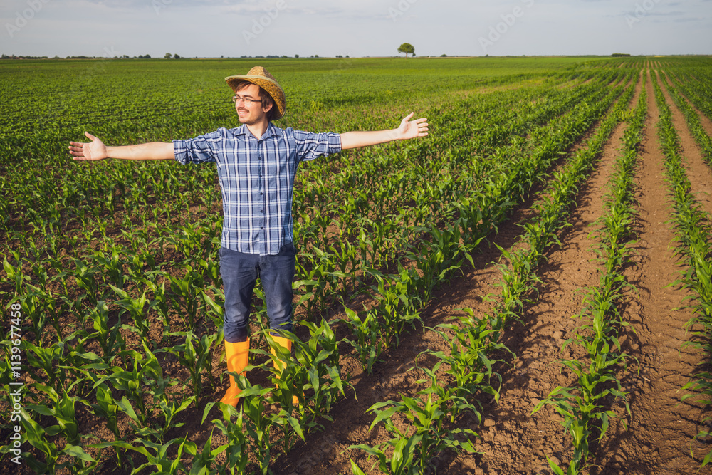 Fototapeta premium Portrait of happy farmer in his corn field. Successful farmer standing in agricultural field with arms outstretched.