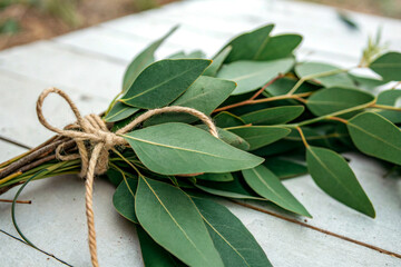 A branch of eucalyptus leaves tied with natural twine