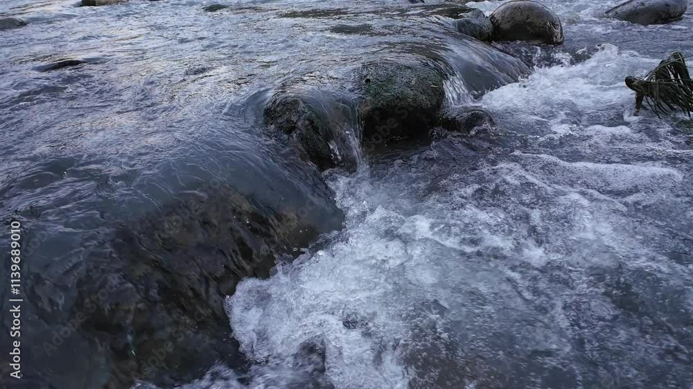 The Melody of Nature: A Stream Whispering Over Stones
The Melody of Nature: A Stream Whispering Over Stones