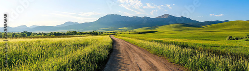 A scenic dirt road leads through lush green fields towards majestic mountains. photo