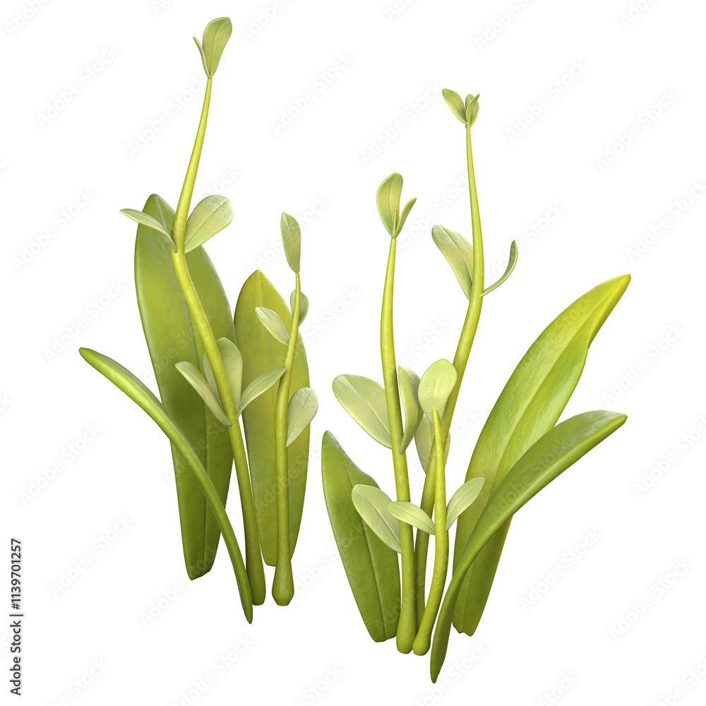 Obraz premium 3D Nature Graphic Set