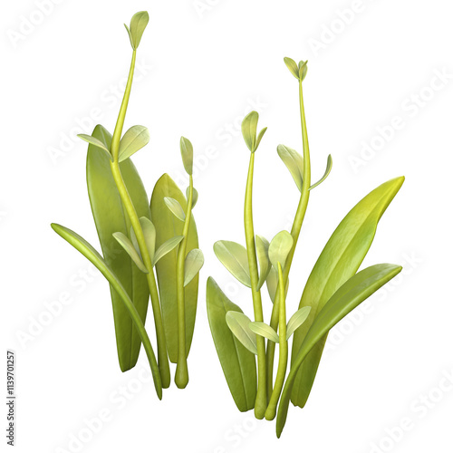 Wallpaper Mural 3D Nature Graphic Set Torontodigital.ca