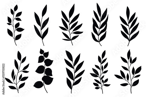 Branches and Leaves Silhouettes Set. Wild plants leaves black silhouettes isolated on white background