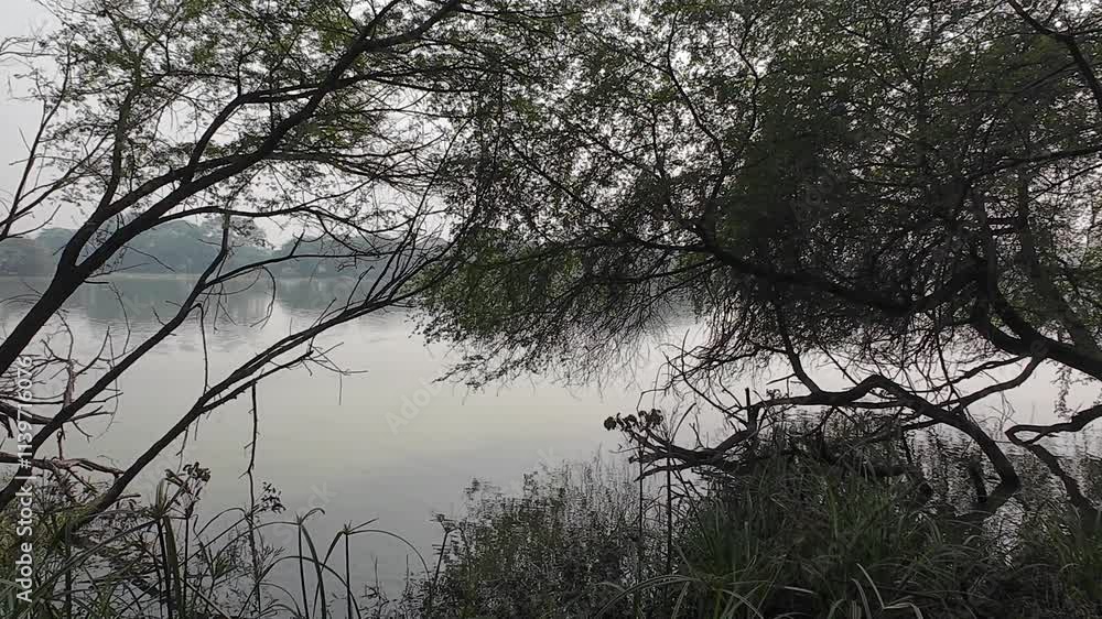 Calm Wetlands Surrounded by Vegetation
Calm Wetlands Surrounded by Vegetation