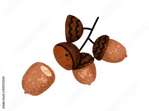 Acorn branch. Oak tree twig with oaknuts, dry caps, shells and seeds. Autumn ...