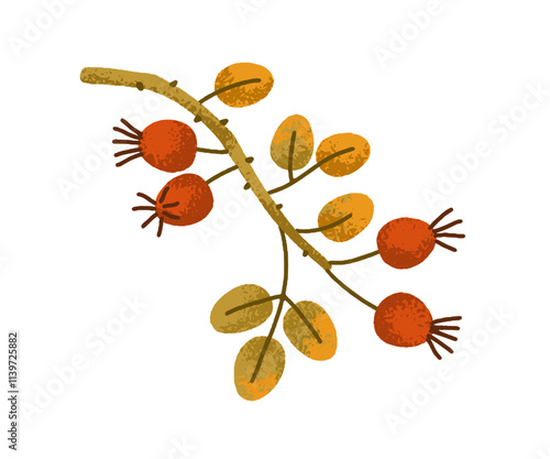 Rose hip branch. Wild rosehip twig, dogrose berries and leaf. Autumn plant wi...