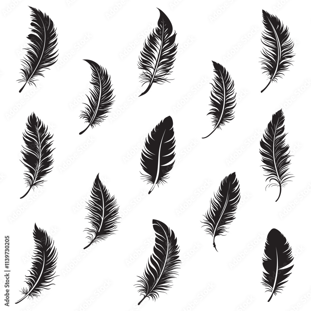 Fototapeta Feather icons vector set. Bird feather silhouette illustration isolated on white background