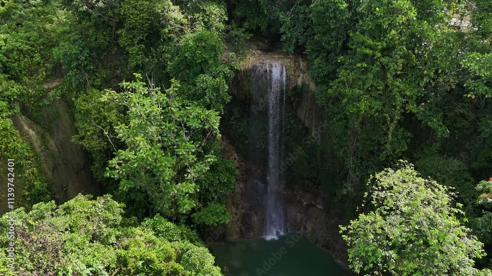 Serene Hidden Waterfall in Dense Tropical Jungle Serene Hidden Waterfall in Dense Tropical Jungle