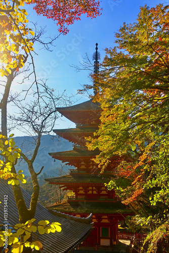 秋の長谷寺・五重塔（奈良県・桜井市） photo