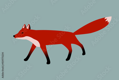 Red fox, animal vector illustration.