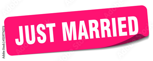 JUST MARRIED sticker