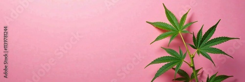 Hemp plant details on bright pink background with stems, leaf, stem