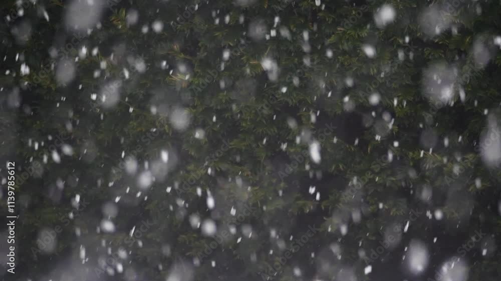 Many snowflakes falling in fast speed on natural dark background Many snowflakes falling in fast speed on natural dark background