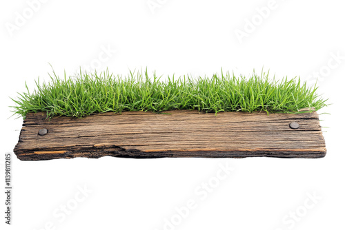 a piece of wood with grass growing on it