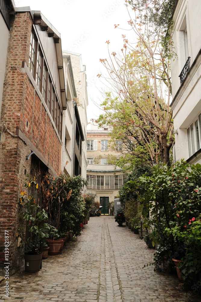 Naklejka premium Callejón de adoquines lleno de plantas en Francia