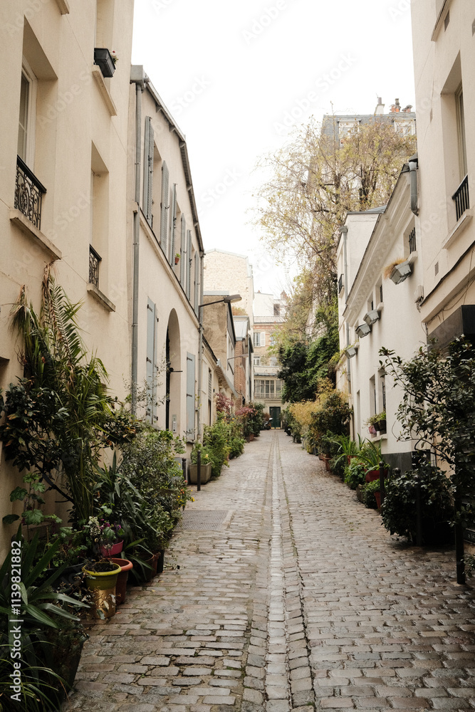 Callejón de adoquines lleno de plantas en Francia Callejón de adoquines lleno de plantas en Francia