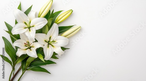 Elegant white lily bouquet on minimalist background floral arrangement nature setting close-up view serenity concept