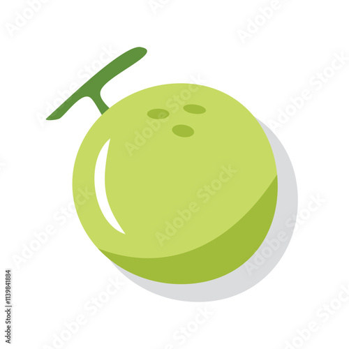 Melon fresh fruit illustration. Agriculture product. Whole fruit. Vector fruit.