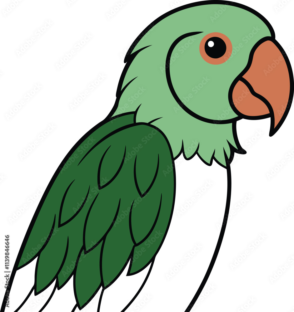 Obraz premium parrot on a white background