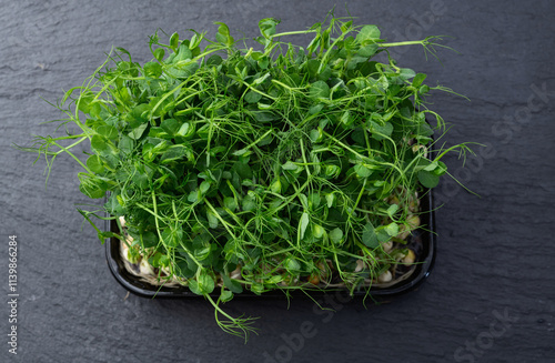 Organic microgreen pea photography . Healthy food . Top view photo