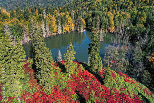 defaulFootage of a forest decorated with autumn colors and their reflections in a lake.t photo