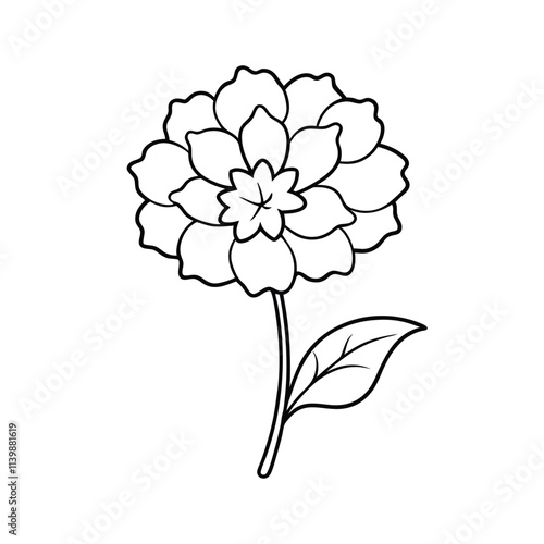 Ageratum violet line art flower vector. Common Garden Flowers.