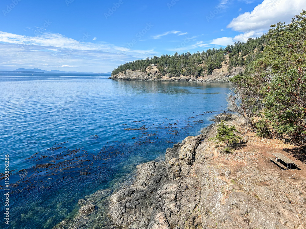 Fototapeta premium San Juan Island