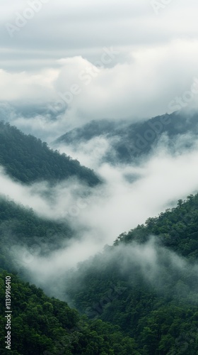 The sea of clouds in mountainous areas